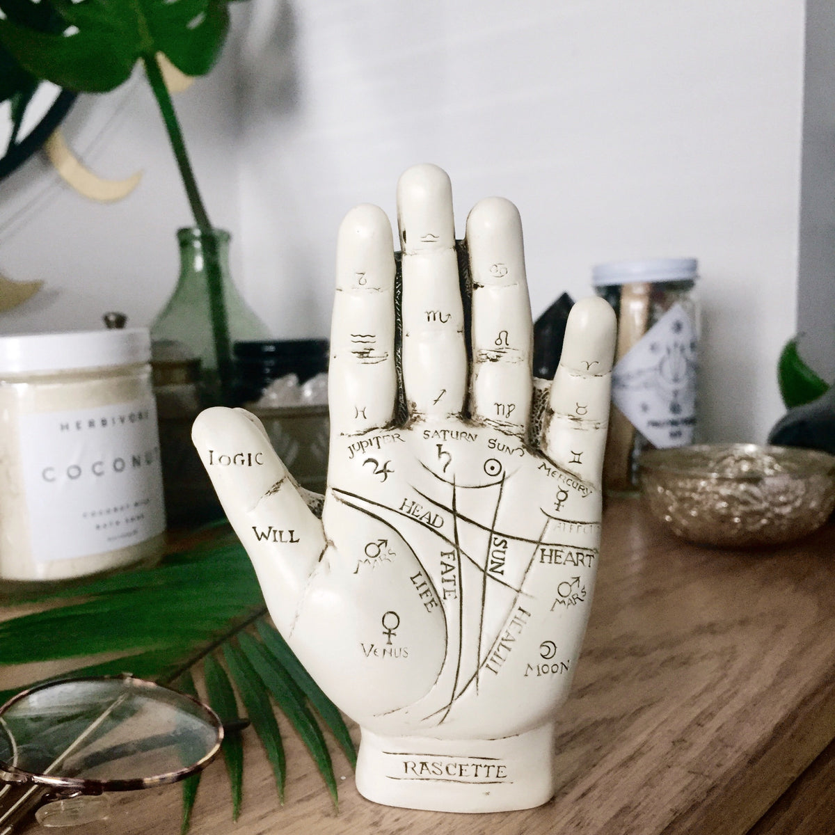 Palmistry Hand Figurine – Terra Soleil