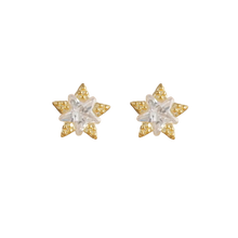 Load image into Gallery viewer, Rose Moon Earrings - Terra Soleil