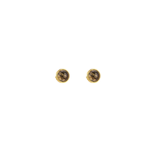 Load image into Gallery viewer, Black Fern Double Crystal Earrings - Terra Soleil