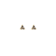 Load image into Gallery viewer, Black Fern Double Crystal Earrings - Terra Soleil