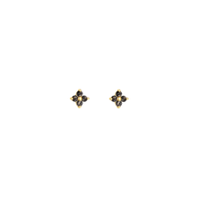 Load image into Gallery viewer, Black Fern Double Crystal Earrings - Terra Soleil