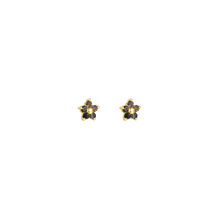 Load image into Gallery viewer, Black Fern Double Crystal Earrings - Terra Soleil