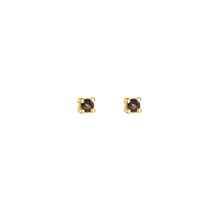 Load image into Gallery viewer, Black Fern Double Crystal Earrings - Terra Soleil
