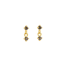 Load image into Gallery viewer, Black Fern Double Crystal Earrings - Terra Soleil
