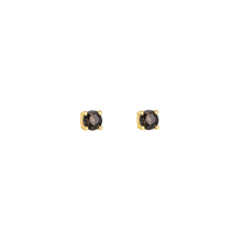 Load image into Gallery viewer, Black Fern Double Crystal Earrings - Terra Soleil