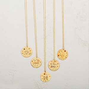 The Starlight Zodiac Necklace - Terra Soleil