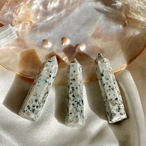 Dalmation Jasper Crystal Point