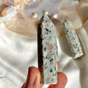 Dalmation Jasper Crystal Point