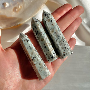 Dalmation Jasper Crystal Point