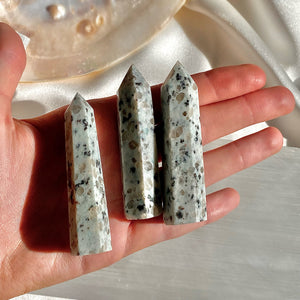 Dalmation Jasper Crystal Point