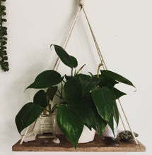 Load image into Gallery viewer, wood macrame wall shelf with plants