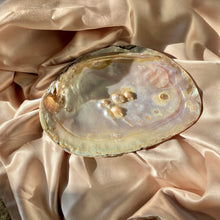 Load image into Gallery viewer, Mother of Pearl Shell