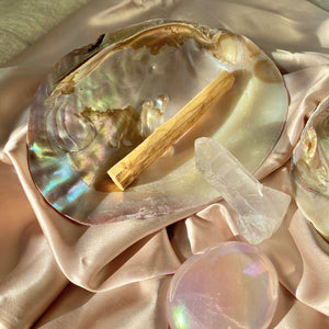 Angel Aura Rose Palm Stone