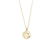 Load image into Gallery viewer, Zodiac Coin Necklace