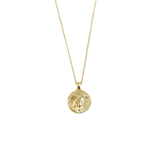 Load image into Gallery viewer, Zodiac Coin Necklace