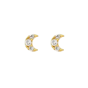 Crescent Moon Earrings