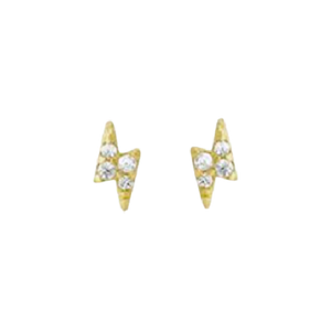 Crescent Moon Earrings