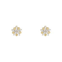 Load image into Gallery viewer, Dangling Moon Earrings