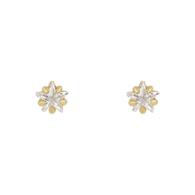 Load image into Gallery viewer, Flowerburst Star Earrings