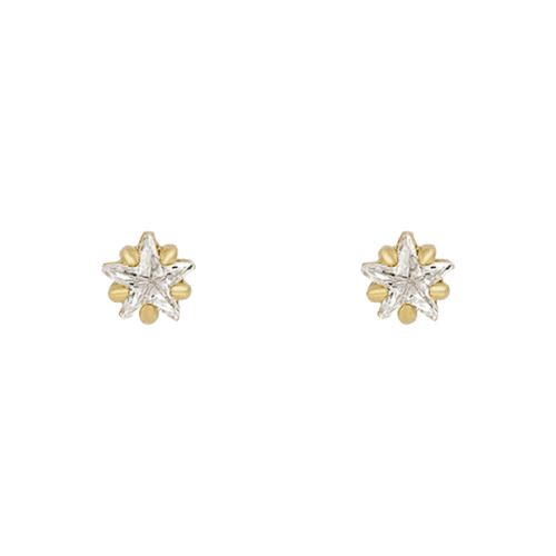 Flowerburst Star Earrings