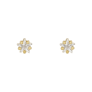 Flowerburst Star Earrings