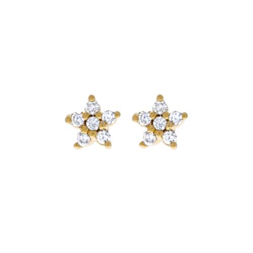 Star Stud Earrings