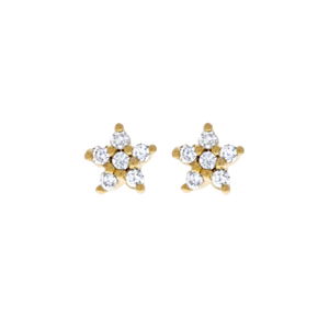 Flowerburst Star Earrings