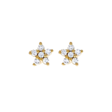 Load image into Gallery viewer, Star Bar Earrings