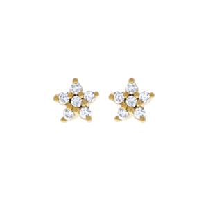 Star Bar Earrings