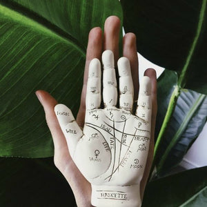 Palmistry Hand Figurine - Terra Soleil