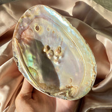 Load image into Gallery viewer, Mother of Pearl Shell