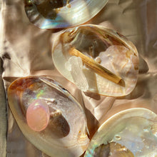 Load image into Gallery viewer, Mother of Pearl Shell