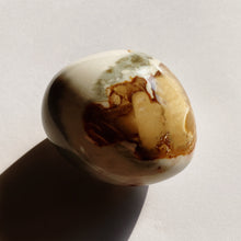 Load image into Gallery viewer, Ocean Jasper Palm Stone - Terra Soleil