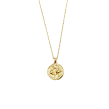 Load image into Gallery viewer, Zodiac Coin Necklace