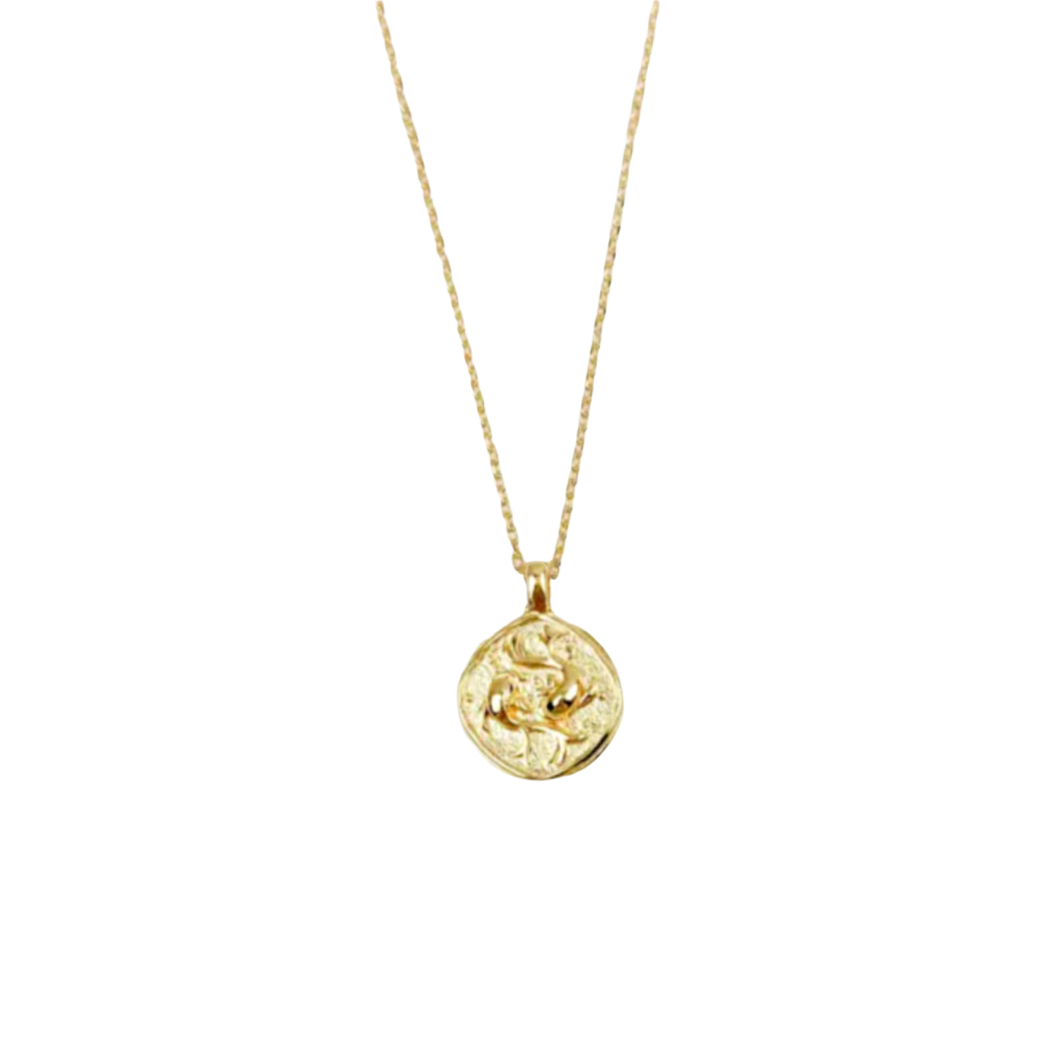 Zodiac Coin Necklace