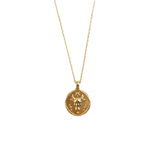 Load image into Gallery viewer, Zodiac Coin Necklace